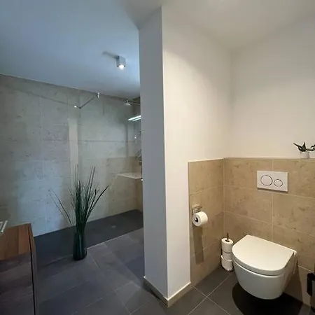 Sonnige Mit Schoener Aussicht In Wolfurt